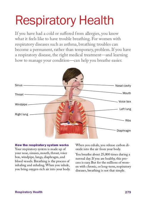 32 best images about Respiratory Health on Pinterest | Respiratory system, Percussion and Health