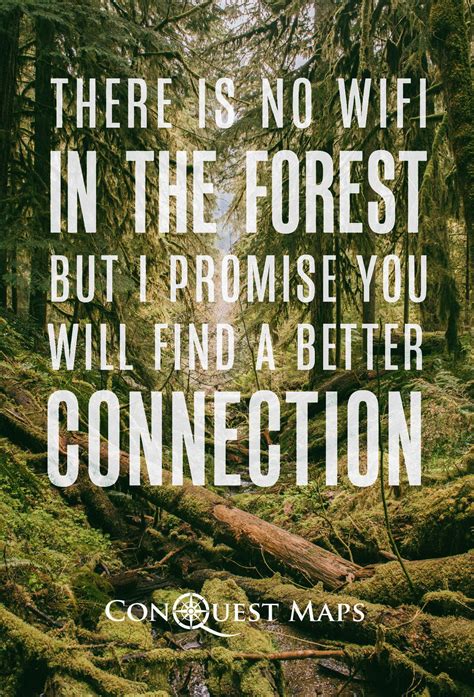 There is no wifi in the forest, but I promise you will find a better ...