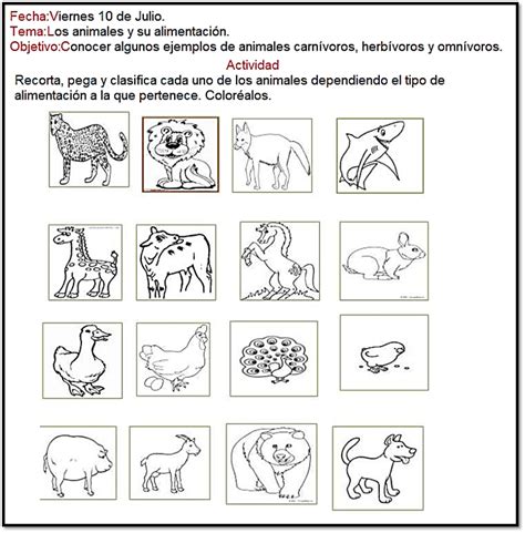 Los animales y su alimentación. | Ciencia de primer grado, Enseñanza de ...