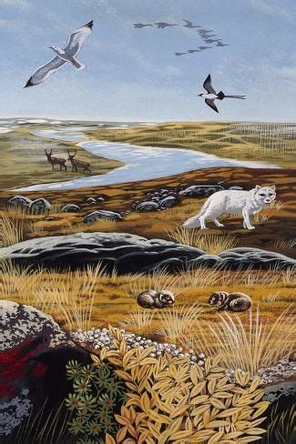 'Landscape and Fauna of the Tundra, Drawing' Giclee Print | Art.com | Giclee print, Drawings ...