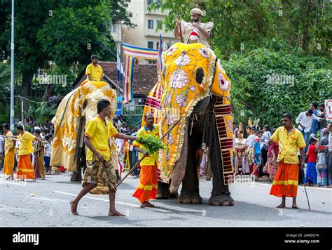 Elephant Sri Lanka Festival High Resolution Stock Photography and Images - Alamy