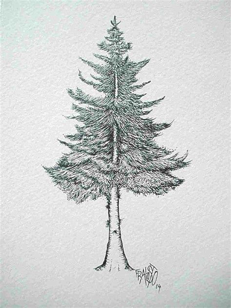 Disegni a matita, schizzo di un albero, disegni di Natale facili da disegnare | Pine tree ...