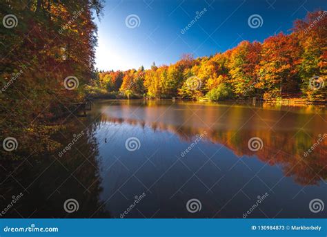 Autumn in the Forest. Fall Scene with Forest Lake in Hungary. Long ...