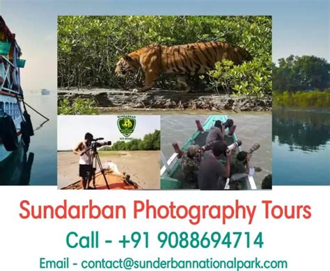 Sunderban Wildlife Photography Tour India