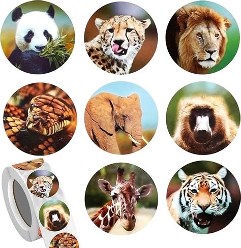 500 Pcs Zoo Animals Stickers for Kids Age 2-6, 1 Inch Round Jungle Wild Animal Stickers for Kids ...