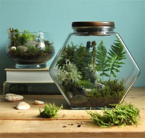 Beautiful DIY Terrarium in 3 Easy Steps - A Piece Of Rainbow