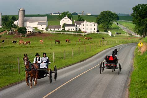 900+ Amish Life ideas | amish, amish culture, amish country