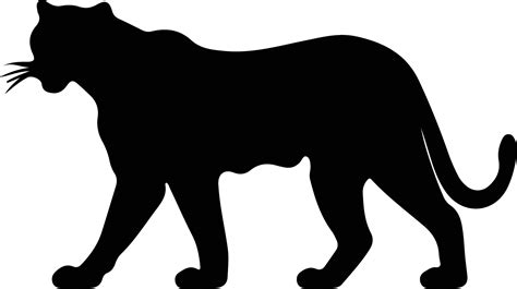 panther black silhouette 38102121 Vector Art at Vecteezy