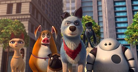 23 Movies On Netflix Animal Lovers Will Adore