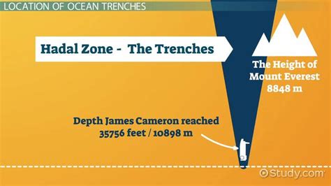 Deep Ocean Trench | Definition, Formation & Examples - Video & Lesson ...