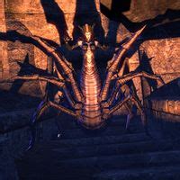 Lore:Spider Daedra - The Unofficial Elder Scrolls Pages (UESP)