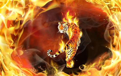 fire background hd - Αναζήτηση Google | Tiger pictures, Tiger wallpaper, Wild animal wallpaper