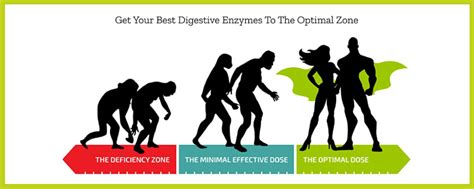 My MassZymes Review (2023) - Scam Or Worth The Ingredients? - Supplementox