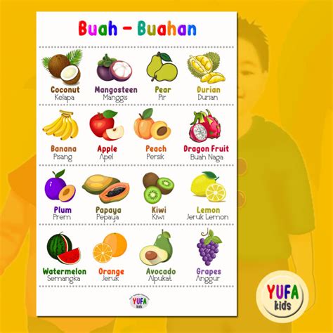 069 Poster mengenal nama - nama buah buahan | Lazada Indonesia