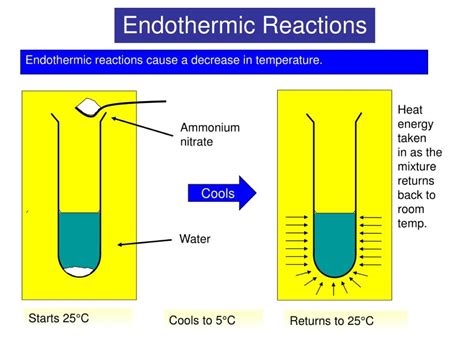 Endothermic Reaction Examples Everyday Life