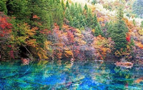 Jiuzhaigou Scenery Autumn