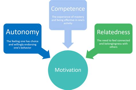 Self-Determination Theory and Literacy