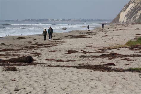 Arroyo Burro Beach, Santa Barbara, CA - California Beaches