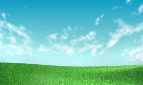 Grass And Sky Background Wallpaper Hd Image 10879 - Grass And Sky Background Hd - 3339x2000 ...