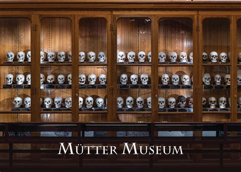 Hyrtl Skull Magnet – Mutter Museum Store