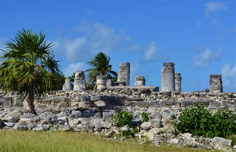 American Homestead: El Rey Ruins