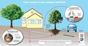 sewer_lateral_diagram - Mitchco Home Inspection Services