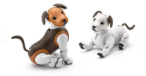 sony’s new chocolate aibo will act as watchdog over your home