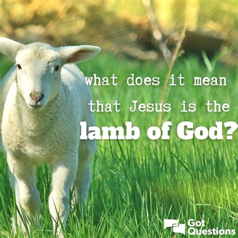 Lamb Of God Bible