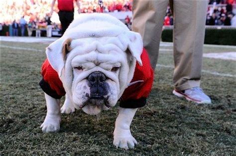 Georgia Football: Roster Changes the Bulldogs Should Consider | News, Scores, Highlights, Stats ...