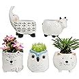 Amazon.com: LA JOLIE MUSE Small Succulent Pots with Drainage, Ceramic Animal Planter, Indoor ...