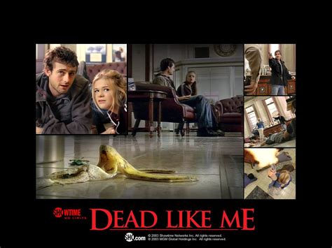 Dead Like Me Quotes Senior. QuotesGram