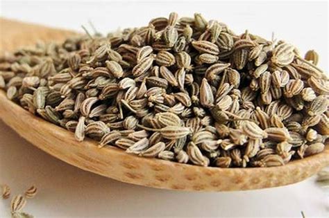 3 Emerging Benefits and Uses of Carom Seeds (Ajwain)..