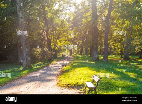 Autumn park and walking people Stock Photo - Alamy