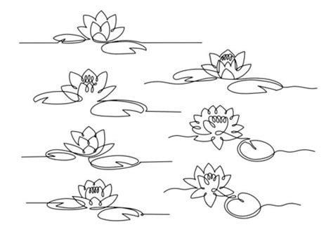 Water Lily Outline