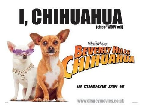 Beverly Hills Chihuahua Movie Poster (#5 of 5) - IMP Awards