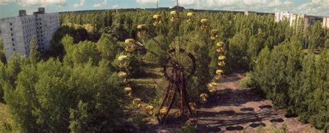 Chernobyl Has Been Reclaimed by Plants. Why Don't They Die From Cancer? : ScienceAlert