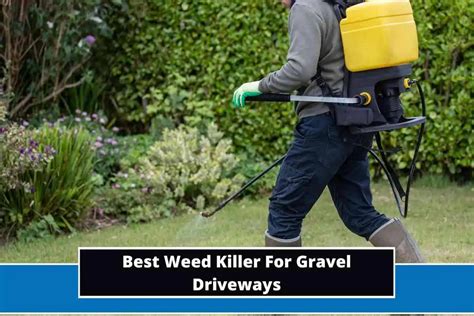 7 Best Weed Killer For Gravel Driveways