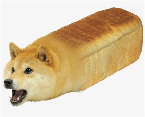 Shiba Inu Doge Youtube - Doge Bread Transparent Transparent PNG - 1024x1024 - Free Download on ...