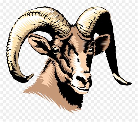 Horns Vector Ram Horn Clipart (#2784701) - PinClipart