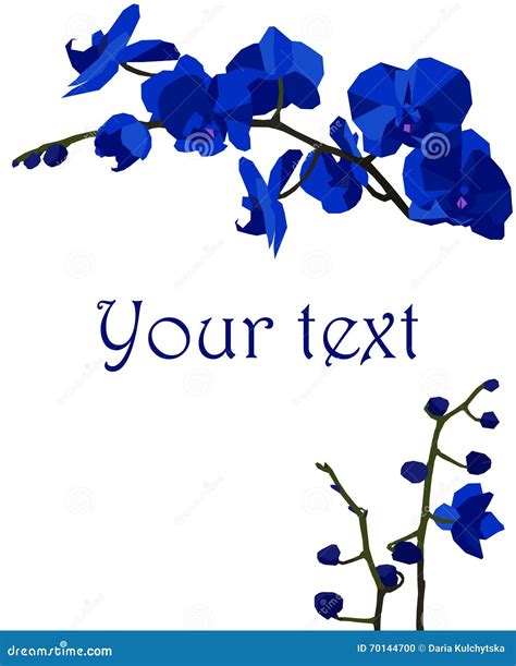 Illustration With Dark Blue Orchids. Stock Vector - Image: 70144700