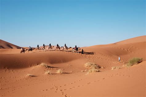 Tours - SAHARA DESERT TOUR