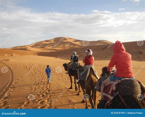 Camel Caravan in Sahara Desert Editorial Image - Image of dark, animal: 53478790