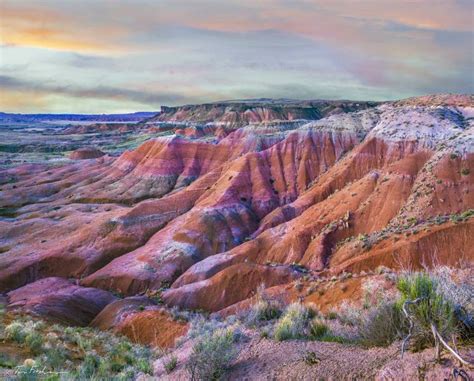 Painted Desert, Petrified Forest National Park, Arizona. Photography by ...