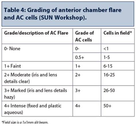 Grading of ocular inflammation in uveitis: an overview | Uveitis ...