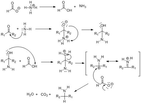 Chemistry:Leuckart reaction - HandWiki