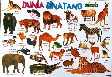 Jual Poster Gambar Dunia Binatang Animals di lapak Bumi Permata ...