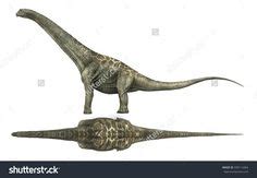 22 Alamosaurus (Cretaceous) ideas | dinosaur, fossils, prehistoric animals