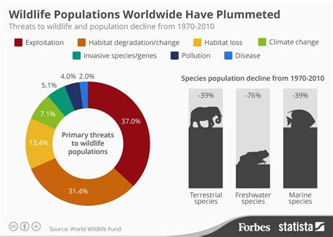 Half The World's Wildlife Has Vanished Since 1970 [Infographic]