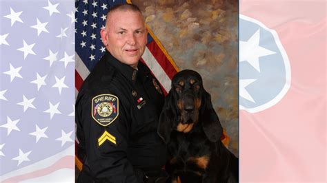 Blount County, TN Sherriff's Office K-9 recovering from surgery after ...