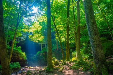 Ferne Clyffe State Park - Parks Guidance